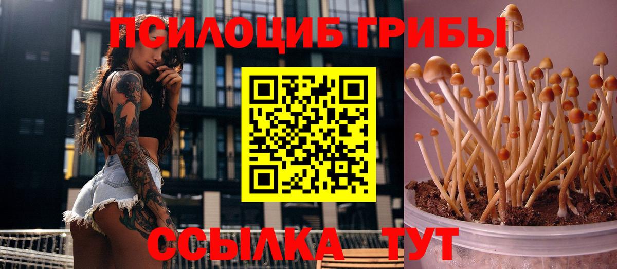 Галлюциногенные грибы Magic Shrooms  купить   Егорьевск  Вход с VPN 